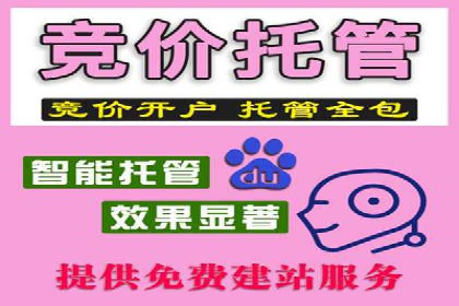 百度竞价SEM案例：揭秘高效广告投放技巧